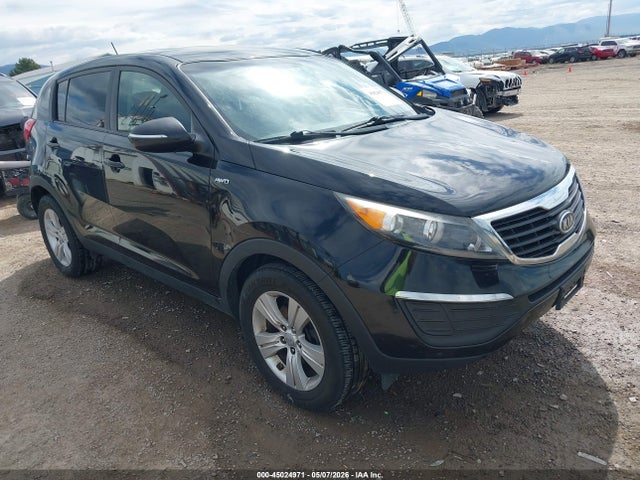 Salvage Kia Sportage Image