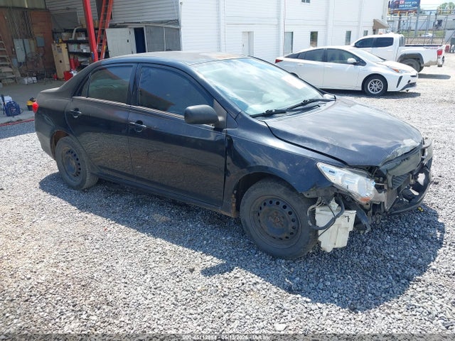 Salvage Toyota Corolla Image
