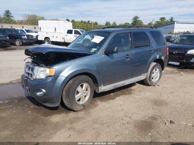 Ford Escape Xlt