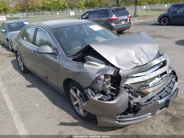Salvage Chevrolet Malibu Image