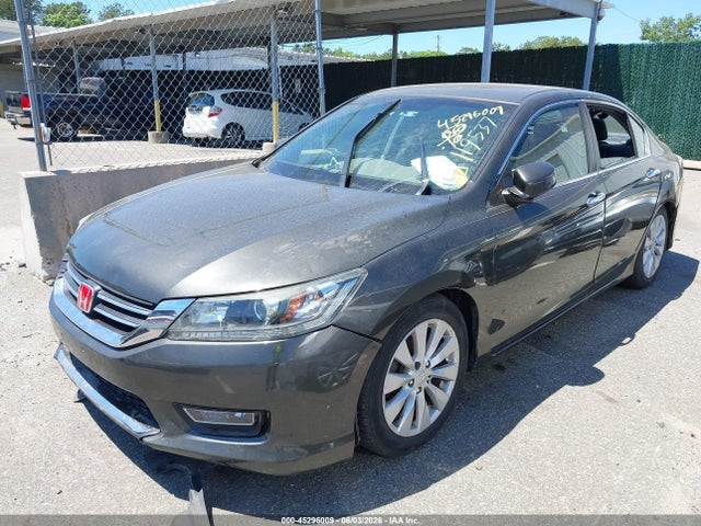 Honda Accord Ex-l