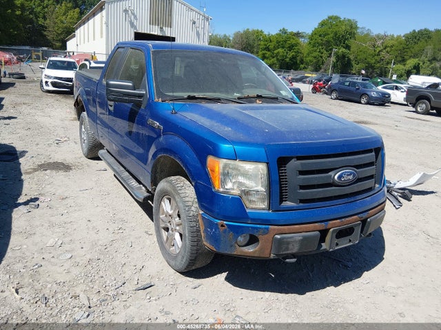 Salvage Ford F-150 Image