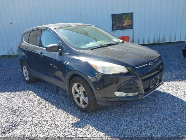 Salvage Ford Escape Image