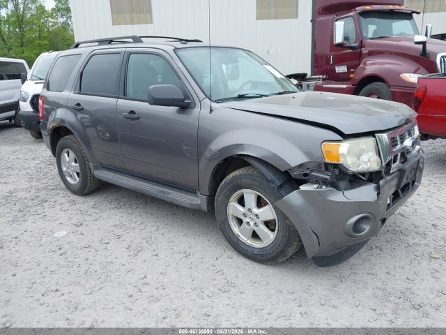 Salvage Ford Escape Image
