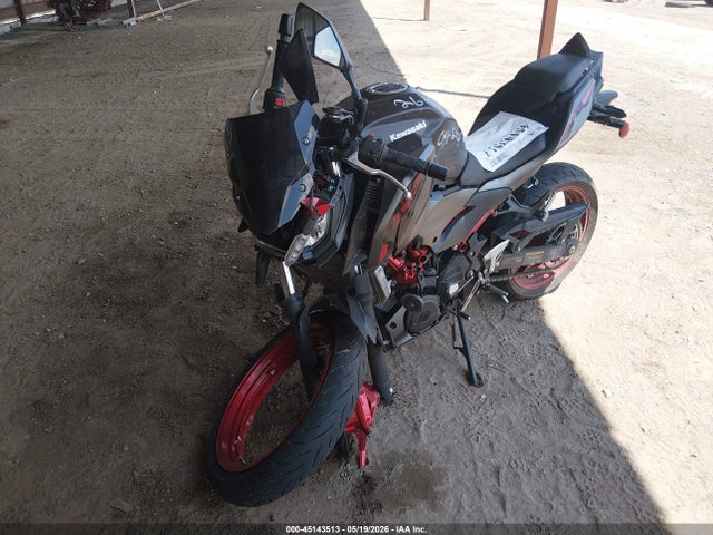 Kawasaki Er500