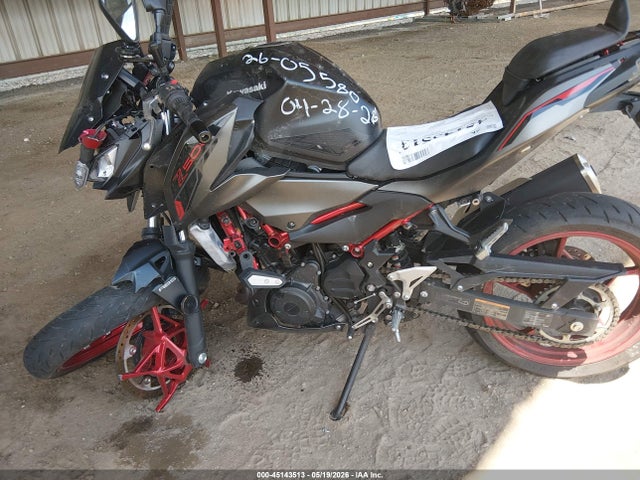 Kawasaki Er500
