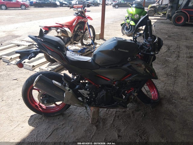 Kawasaki Er500