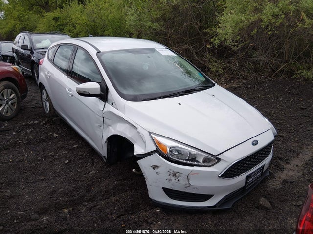 Salvage Ford Focus Image