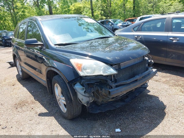 Salvage Honda CR-V Image