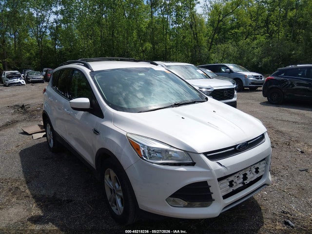 Salvage Ford Escape Image