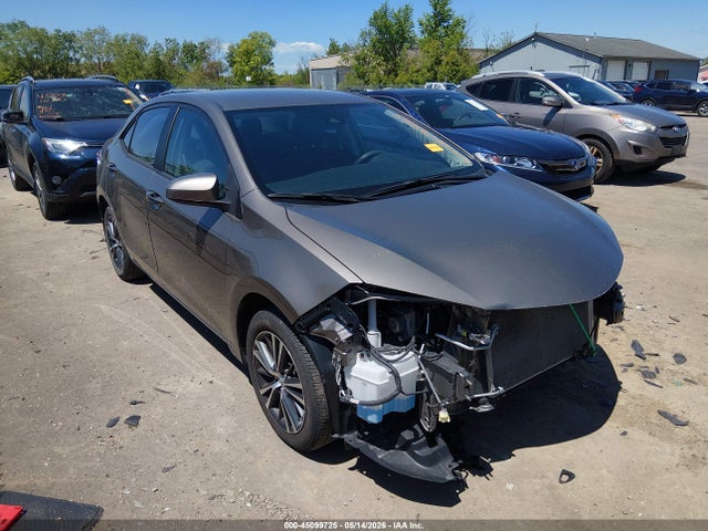 Salvage Toyota Corolla Image