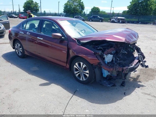 Salvage Honda Accord Image