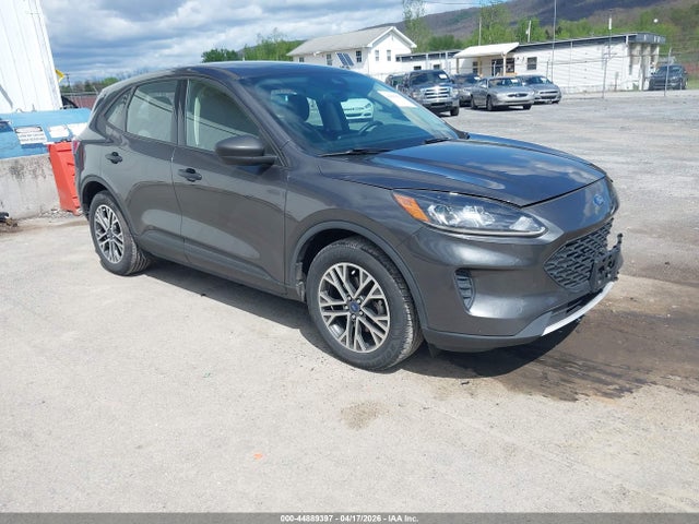Salvage Ford Escape Image
