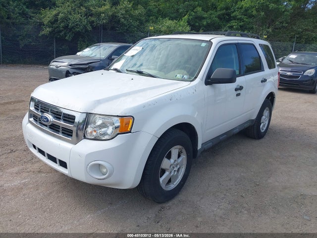 Ford Escape Xlt