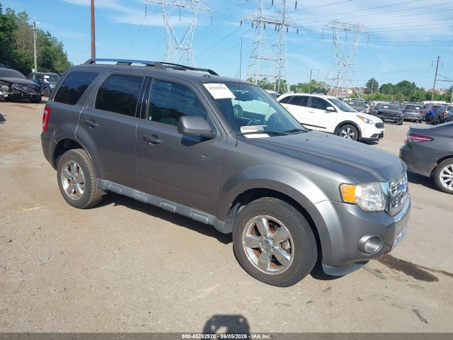 Salvage Ford Escape Image
