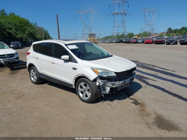 Salvage Ford Escape Image