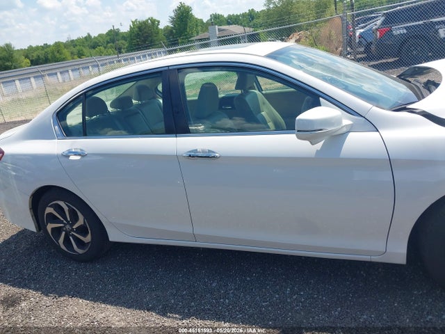 Honda Accord Ex-l