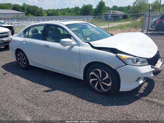 Salvage Honda Accord Image