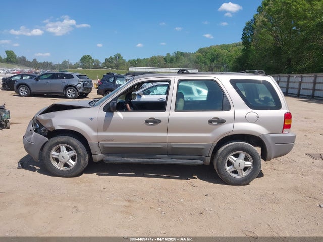 Ford Escape Xlt