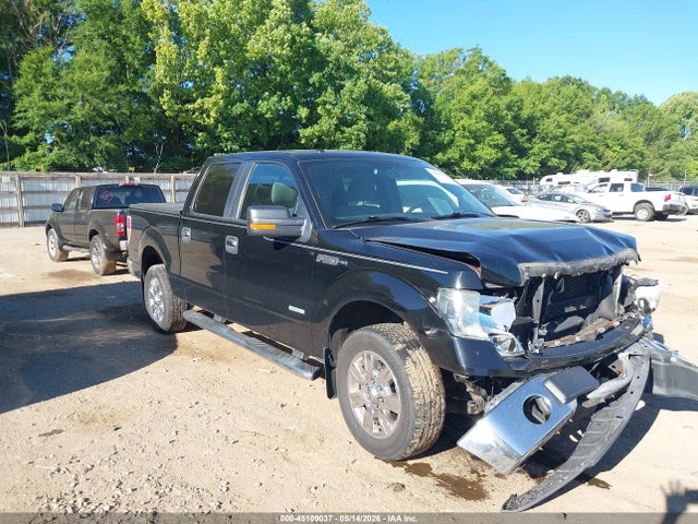 Salvage Ford F-150 Image