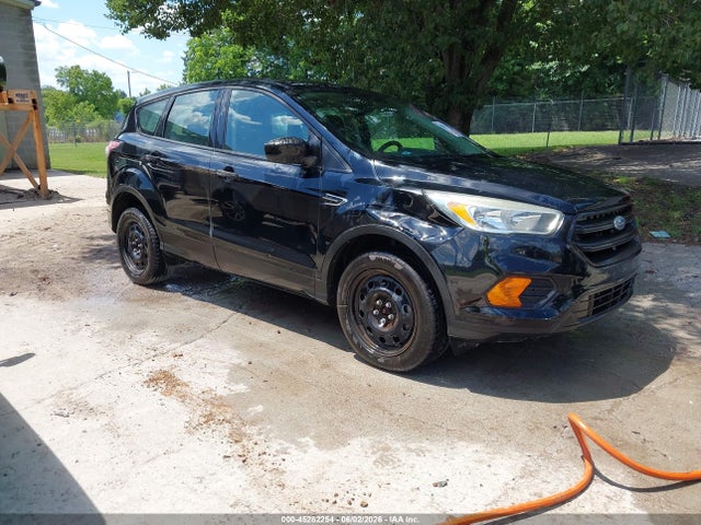 Salvage Ford Escape Image