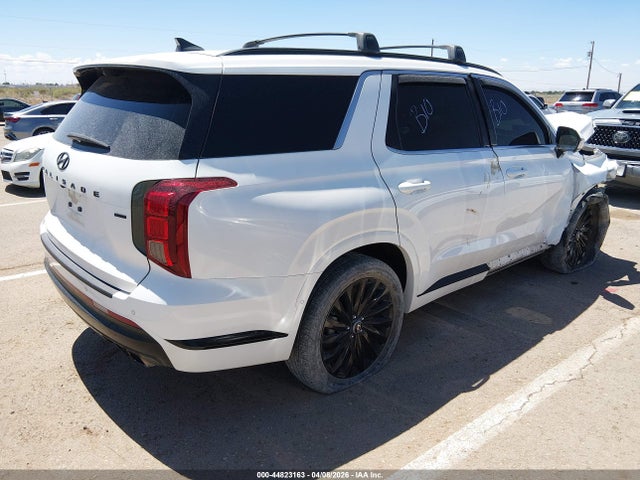 Hyundai PALISADE Calligraphy Night Edition