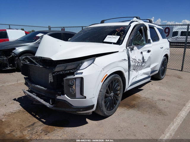 Hyundai PALISADE Calligraphy Night Edition