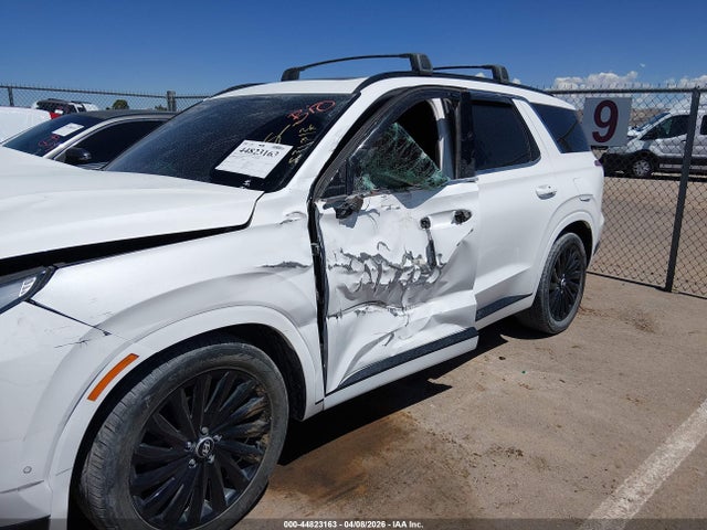 Hyundai PALISADE Calligraphy Night Edition