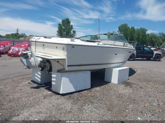 Sea Ray Boat