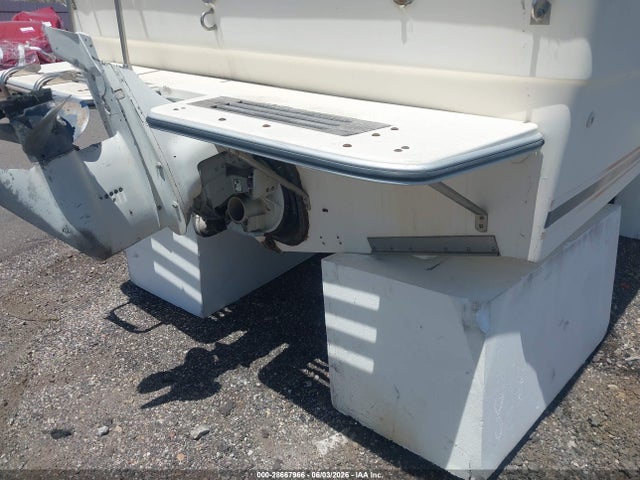Sea Ray Boat