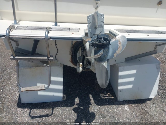 Sea Ray Boat