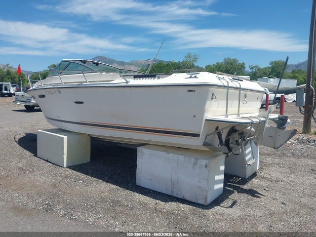 Sea Ray Boat