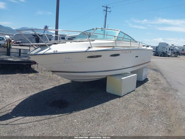 Sea Ray Boat