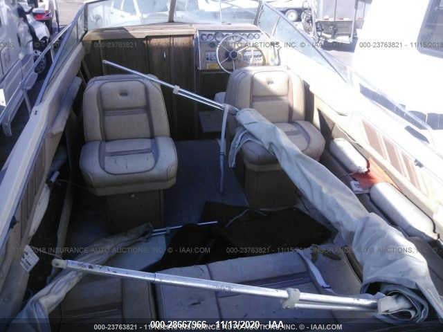 Sea Ray Boat