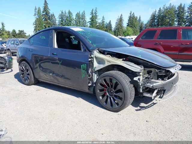 Salvage Tesla Model Y Image