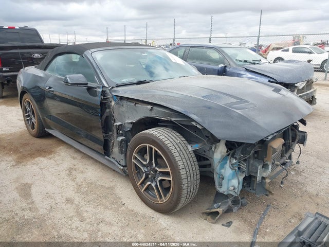 Salvage Ford Mustang Image