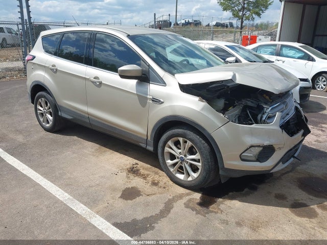 Salvage Ford Escape Image