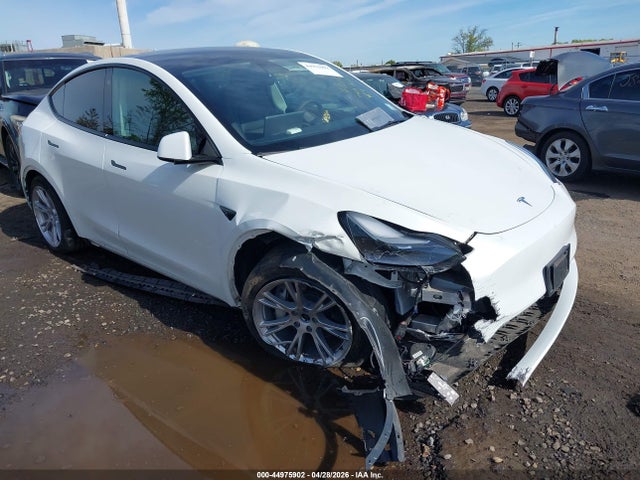 Salvage Tesla Model Y Image