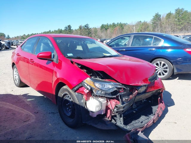 Salvage Toyota Corolla Image