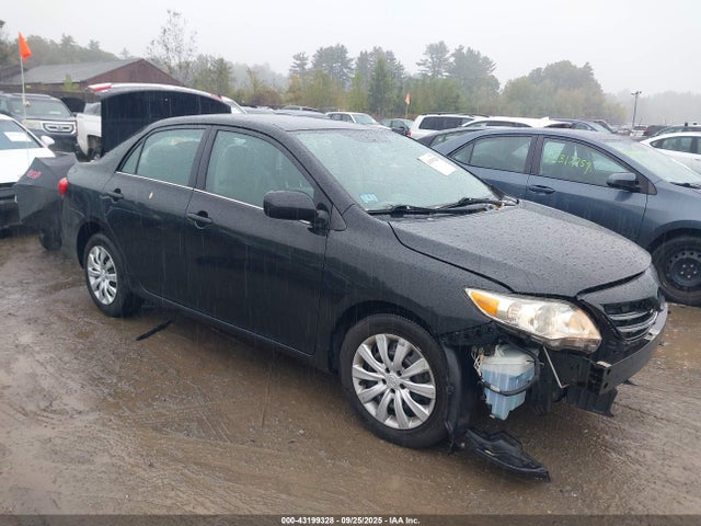 Salvage Toyota Corolla Image