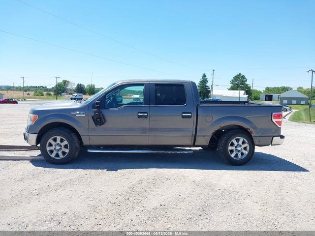 Ford F-150 Xlt