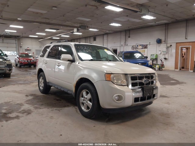 Salvage Ford Escape Image