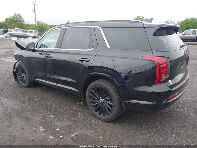 Hyundai PALISADE Calligraphy Night Edition