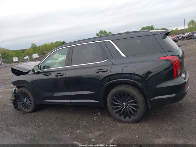 Hyundai PALISADE Calligraphy Night Edition