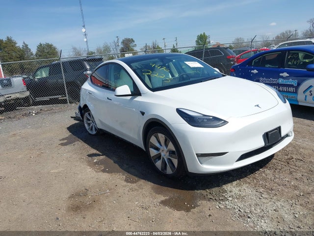 Salvage Tesla Model Y Image