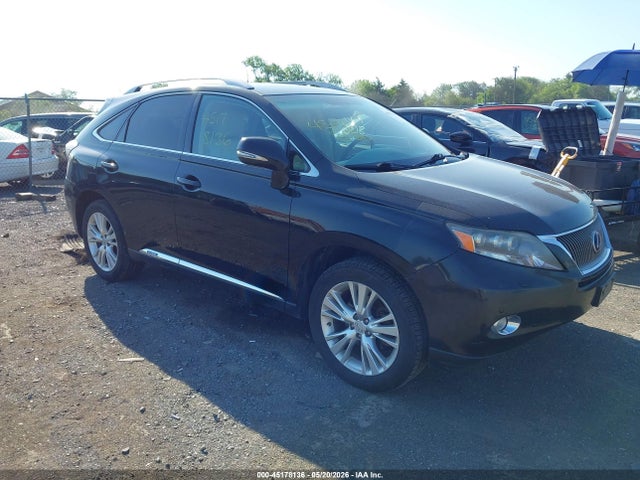 Salvage Lexus RX Image