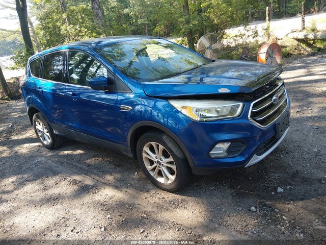 Salvage Ford Escape Image