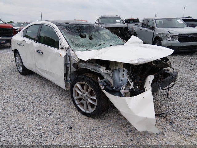 Salvage Nissan Maxima Image