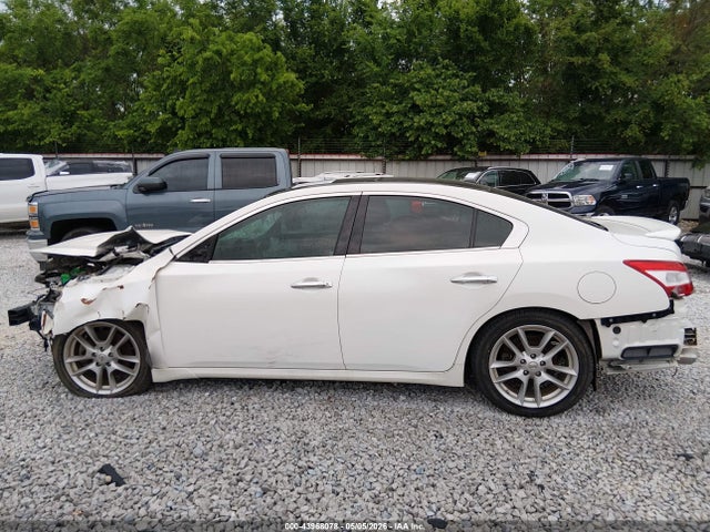Nissan Maxima 3.5 Sv