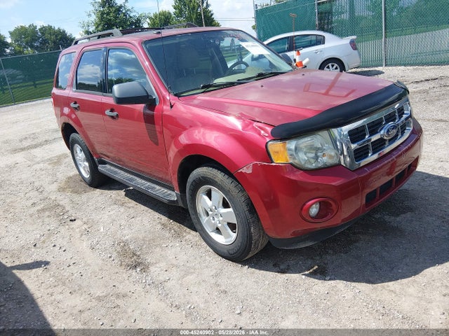 Salvage Ford Escape Image